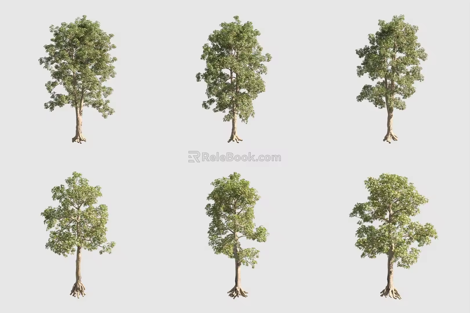 Blackboard Wood Oak Tree Landscape Tree 3d model