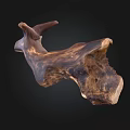 Natural Stone Wood Sculpture With Unique Organic Form And Natural Texture