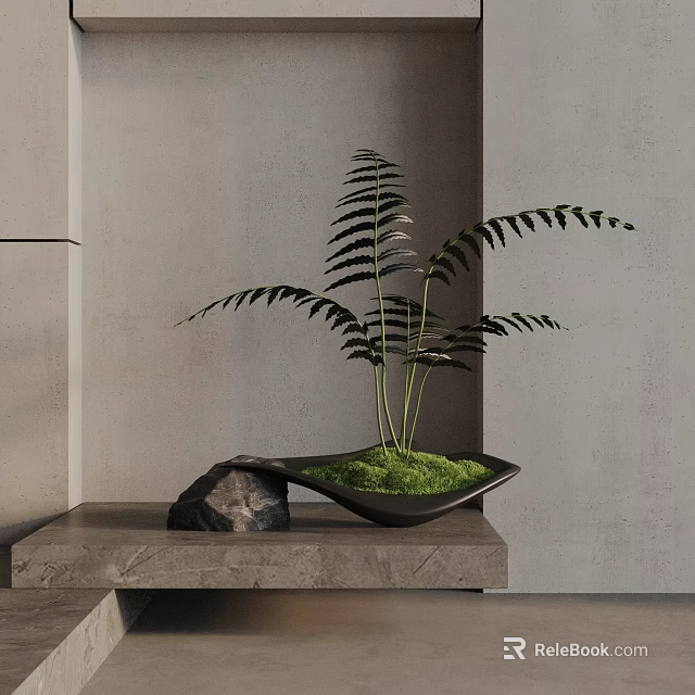 Bonsai Potted Plant with Fern Leaves Green Moss and Black Pot on Gray Tabletop 3d model 