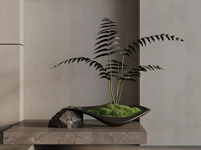 Bonsai Potted Plant with Fern Leaves Green Moss and Black Pot on Gray Tabletop 3d model