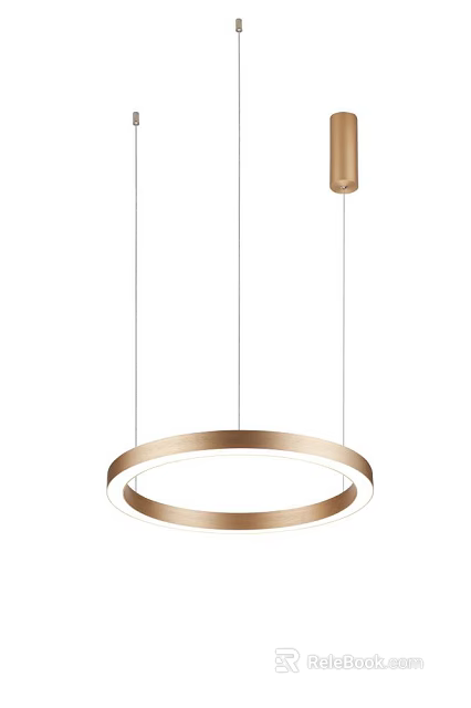Modern Circular Pendant Light With Gold Frame And White LED Illumination 3d model 