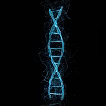 DNA Double Helix DNA Structure DNA Strand Science Fiction Effect Future Technology 3d model
