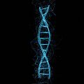 DNA Double Helix DNA Structure DNA Strand Science Fiction Effect Future Technology 3d model