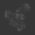 Vibrant Arbor With Lush Green Leaves And Strong Upright Trunk Isolated On Dark Background
