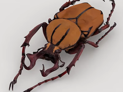 Close Up View Of Brown Beetle With Red Legs And Large Curved Horns 3d model
