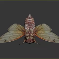 3D Rendered Red Cicada With Transparent Orange Veined Wings And Detailed Body Structure