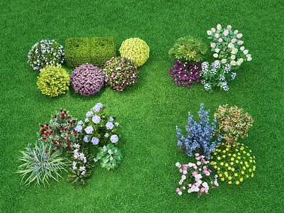 Flowers and flowers shrubs combination landscape green plant flowers and plants greening green plant pile flower border plant flower cluster model