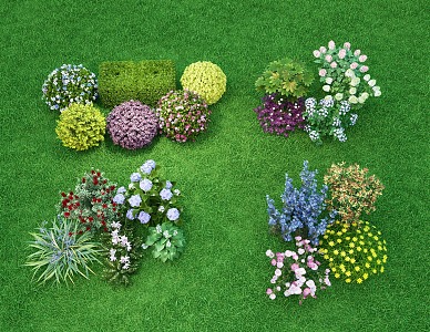 Flowers and flowers shrubs combination landscape green plant flowers and plants greening green plant pile flower border plant flower cluster 3d model