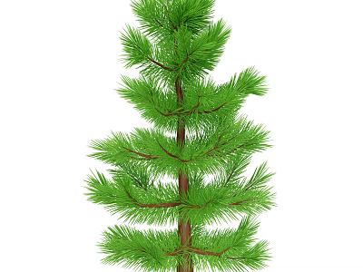 Tall Green Pine Tree With Lush Green Needles And Brown Trunk In Natural Setting 3d model