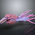 Colorful Biomorphic Creature With Pink Purple Tentacles And Segmented Red Body