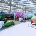 Indoor Greenhouse Garden Display With Rockery Green Plants Pink Cherry Blossom Tree And Stone Mill