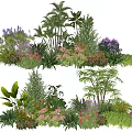Diverse Plant Combination Featuring Tropical Leaves Colorful Blooms And Green Foliage
