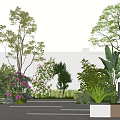 Garden Plant Combination with Various Trees Shrubs Flowers Gray Wall Stone Pavement and White Planters