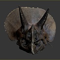 Modern Skull Triceratops Dinosaur Triceratops Skull Triceratops 3d model