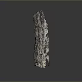 Authentic Plant Bark With Detailed Cracked Surface And Natural Multicolored Hues On Dark Background