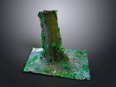 Tall Tree Trunk Covered with Green Vines and Moss at Base with Small Plants 3d model