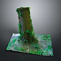 Tall Tree Trunk Covered with Green Vines and Moss at Base with Small Plants