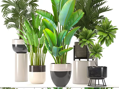Stylish Potted Plants With Various Decorative Pots And Green Tropical Leaves 3d model