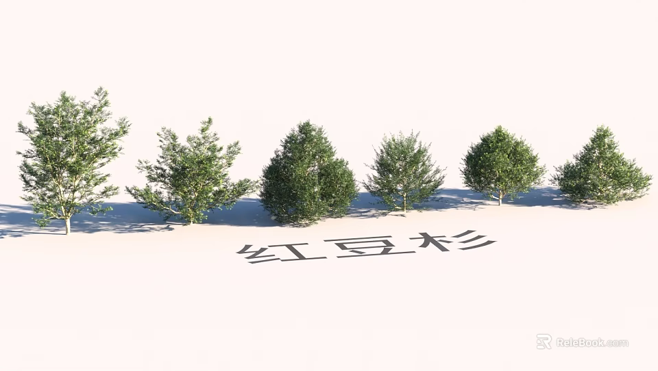 Garden Landscape Design with Neatly Arranged Taxus Trees and Green Foliage 3d model 