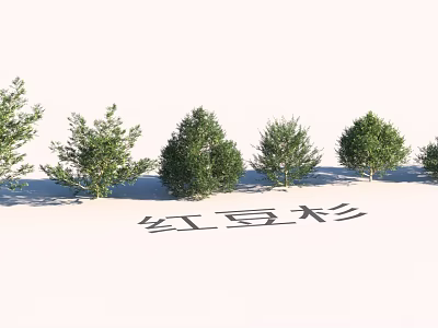 Garden Landscape Design with Neatly Arranged Taxus Trees and Green Foliage 3d model