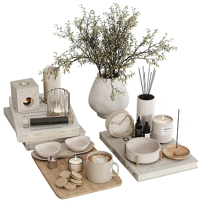 Modern Minimalist Ornamental Decor Set With Vase Branches Candles Trays Diffuser Sticks Books And Bowls 3d model