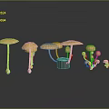 Yellow Mushrooms In Various Shapes Arranged On Dark Reflective Surface