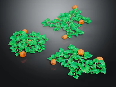Fresh Ripe Orange Fruits with Green Leaves as Healthy Nutritious Food 3d model
