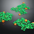 Fresh Ripe Orange Fruits with Green Leaves as Healthy Nutritious Food