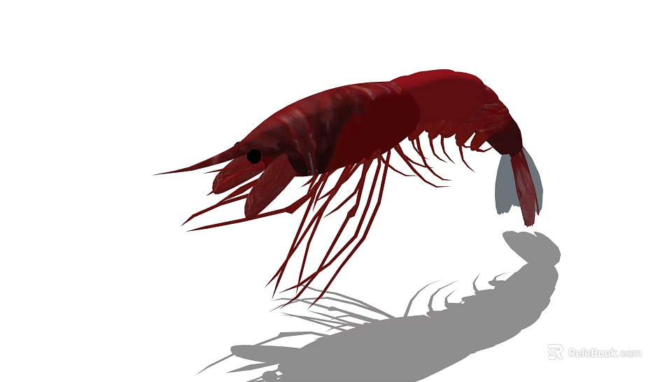 Red Aquatic Shrimp With Long Antennae And Detailed Body Structure 3d model 