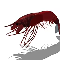 Red Aquatic Shrimp With Long Antennae And Detailed Body Structure