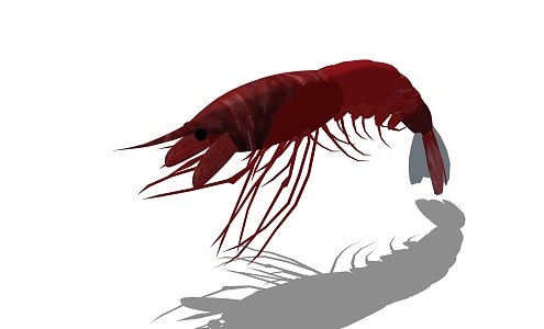 Modern Lobster Animals 3d model