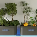 Mixed Plant Combination with Trees Palms and Shrubs in SKYFLOW Planters and Yellow Decorative Sphere