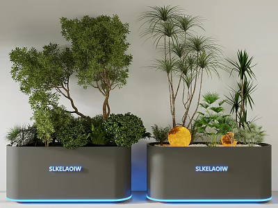 Mixed Plant Combination with Trees Palms and Shrubs in SKYFLOW Planters and Yellow Decorative Sphere 3d model