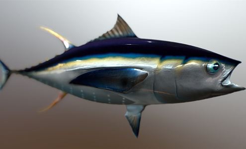 Modern Fish 3d model