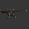Realistic T Rex Dinosaur Model With Detailed Textured Skin And Open Mouth