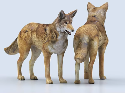 Two Wolf Figurines In Standing Pose With Brown And White Fur From Different Angles 3d model