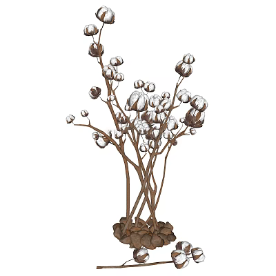 Cotton Flower Arrangement With White Cotton Balls Brown Stems And Decorative Stones 3d model