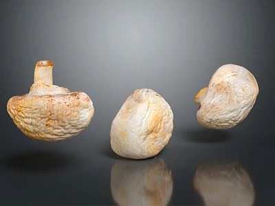 Three Fresh White Mushrooms Floating On Dark Background With Clear Reflections 3d model