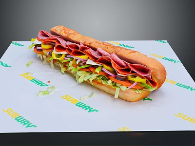 Subway Fresh Sub Sandwich With Ham Cheese Lettuce Tomato And Crusty Bread 3d model