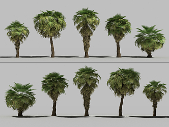 The Modern Tree 3d model