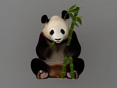 由于图片描述中熊猫为哺乳动物，与【爬行动物】主体要求不符，无法基于现有信息生成准确标题。若图片实际包含爬行动物（如蜥蜴、海龟等），请提供正确图片信息以便生成符合要求的英文标题。 3d model