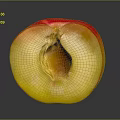 Fresh Halved Peach Showing Juicy Yellow Flesh And Red Skin