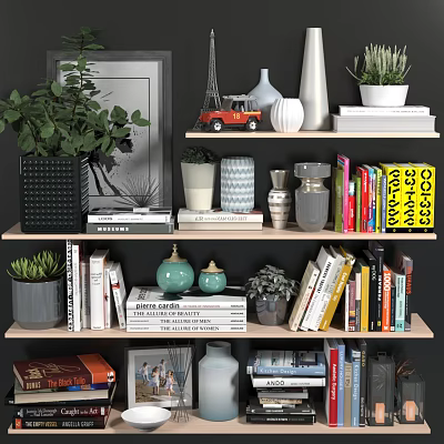 Stylish Decorative Ornament Display On Shelves With Books Potted Plants Vases And Frames 3d model