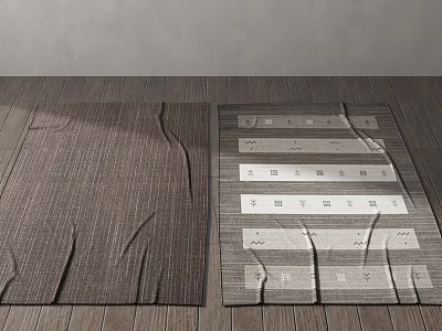 Two Square Rugs With Different Patterns On Wooden Floor 3d model