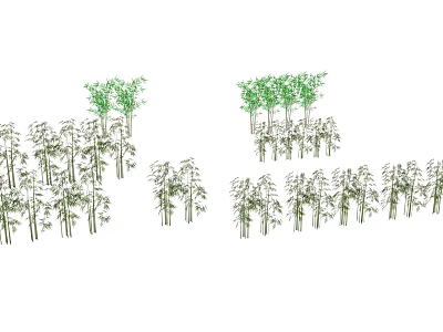 Bamboo Forest With Lush Green Foliage And Various Heights Natural View 3d model