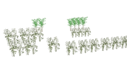 Landscape Bamboo 3d model