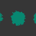 Three Tall Green Pine Trees Standing Together With Natural Shadows