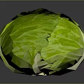 Fresh Green Cabbage With Crisp Wrinkled Leaves On Dark Reflective Surface