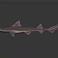 Pink Spotted Shark with Distinct Fins 3D Rendered on Dark Background with Reflection