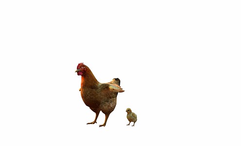 Modern Hen 3d model